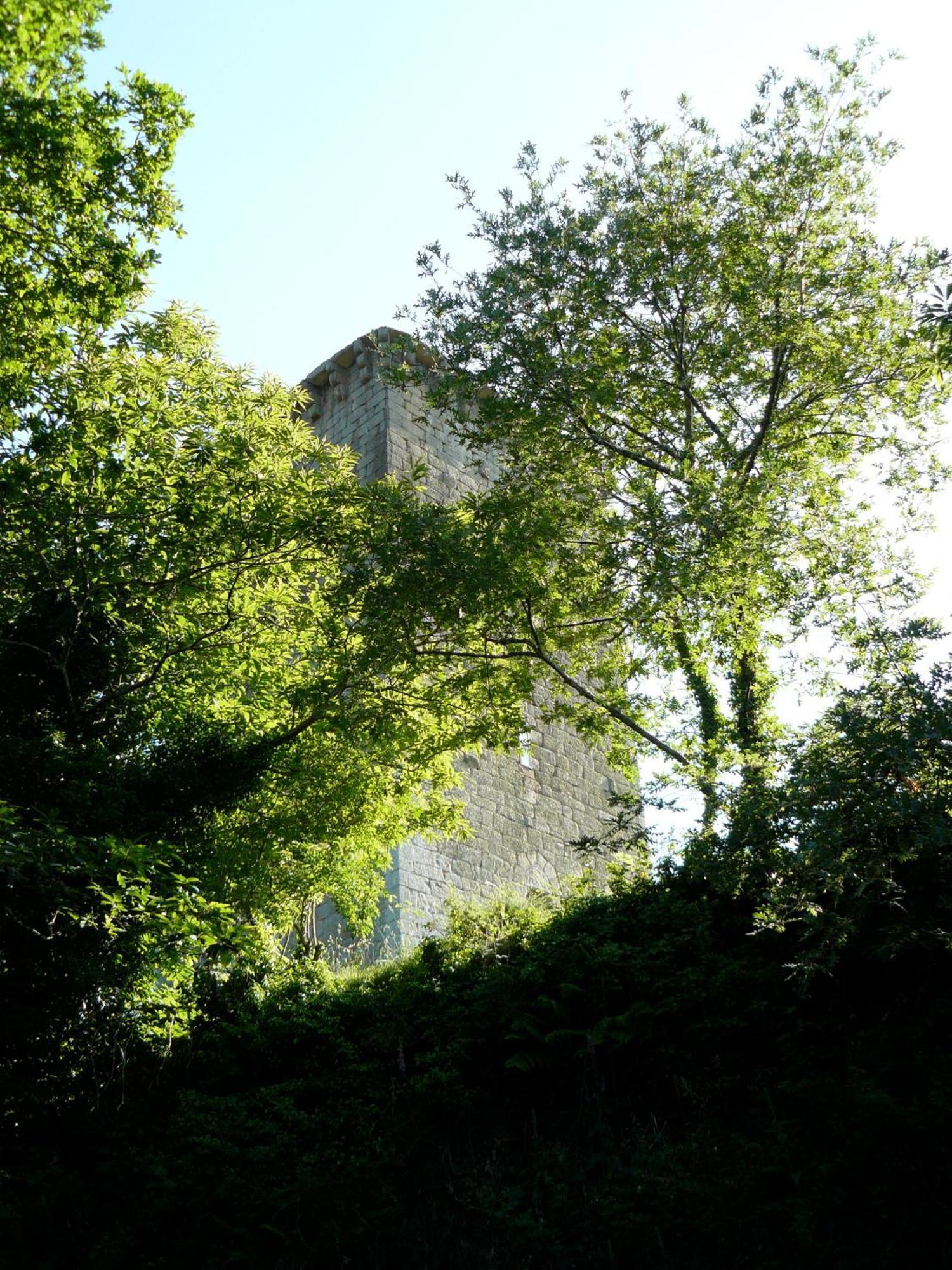 Apartamentos Rurales A Torre Porquera Eksteriør bilde
